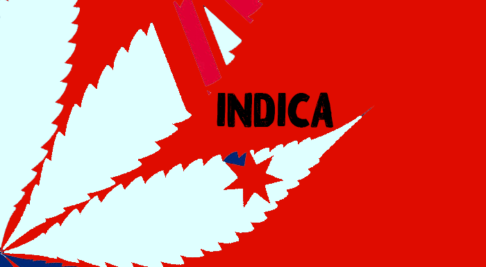 Buy Indica Strains Online Australia