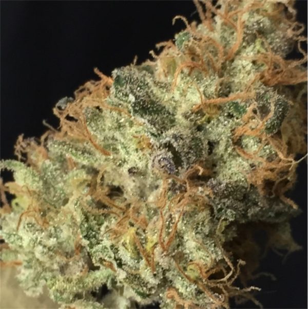 Buy Weed Online Newcastle Australia 420auweed provides you with only High-end and Top Quality Order Marijuana In NSW Australia