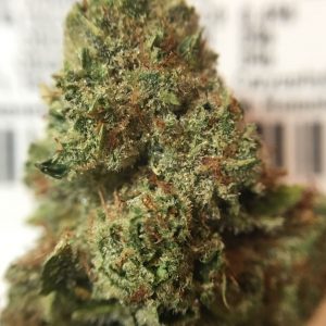Buy Weed Online Daylesford Australia From 420auweed With 100% Discreet Delivery Guaranteed Cannabis For Sale In Victoria Melbourne