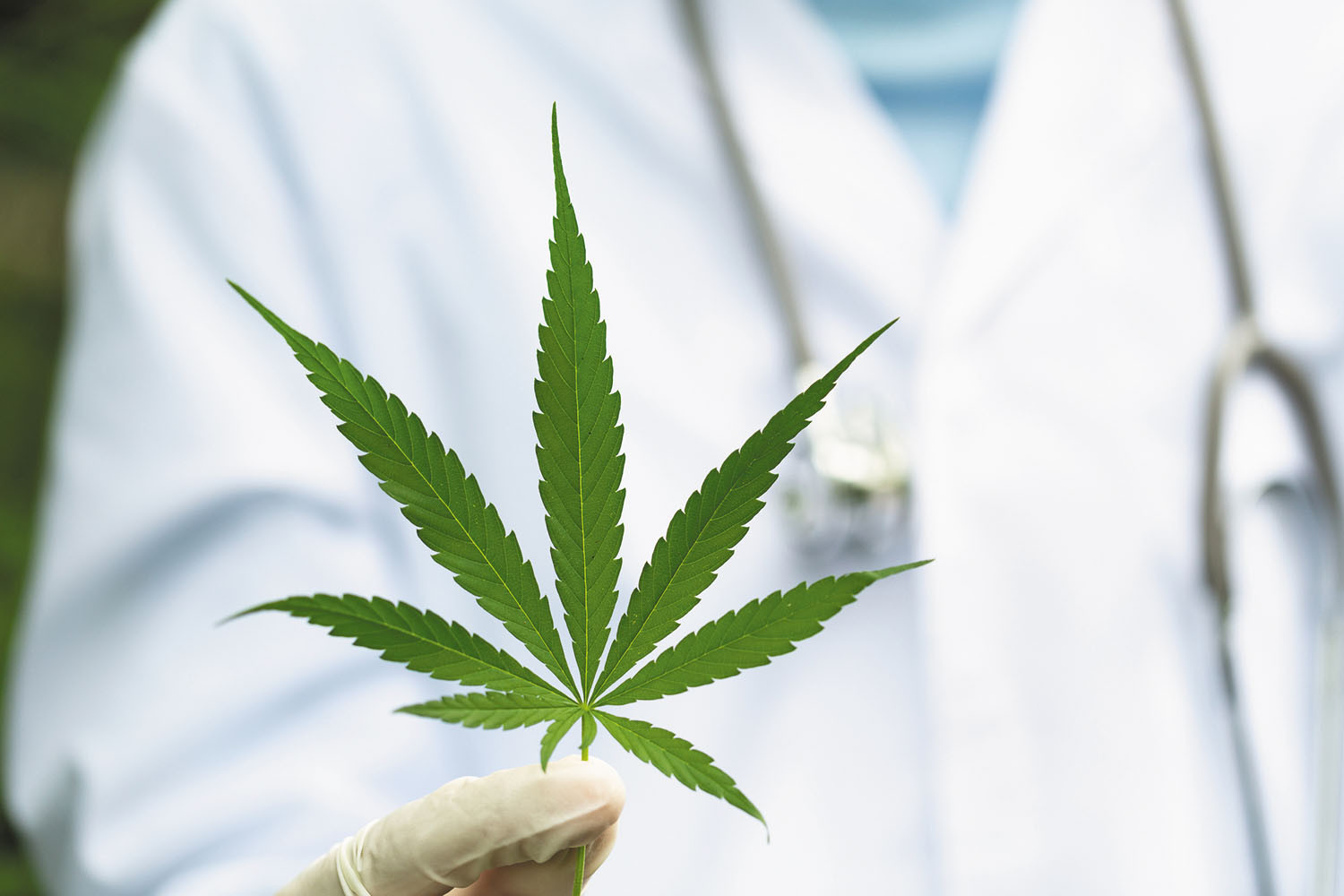 Buy Medical Marijuana Online Tasmania
